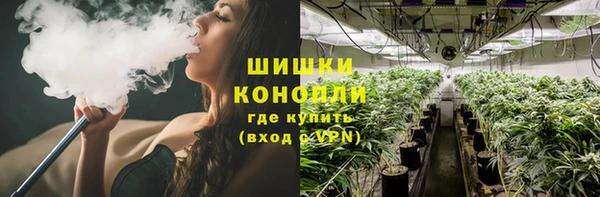 PSILOCYBIN Верхний Тагил